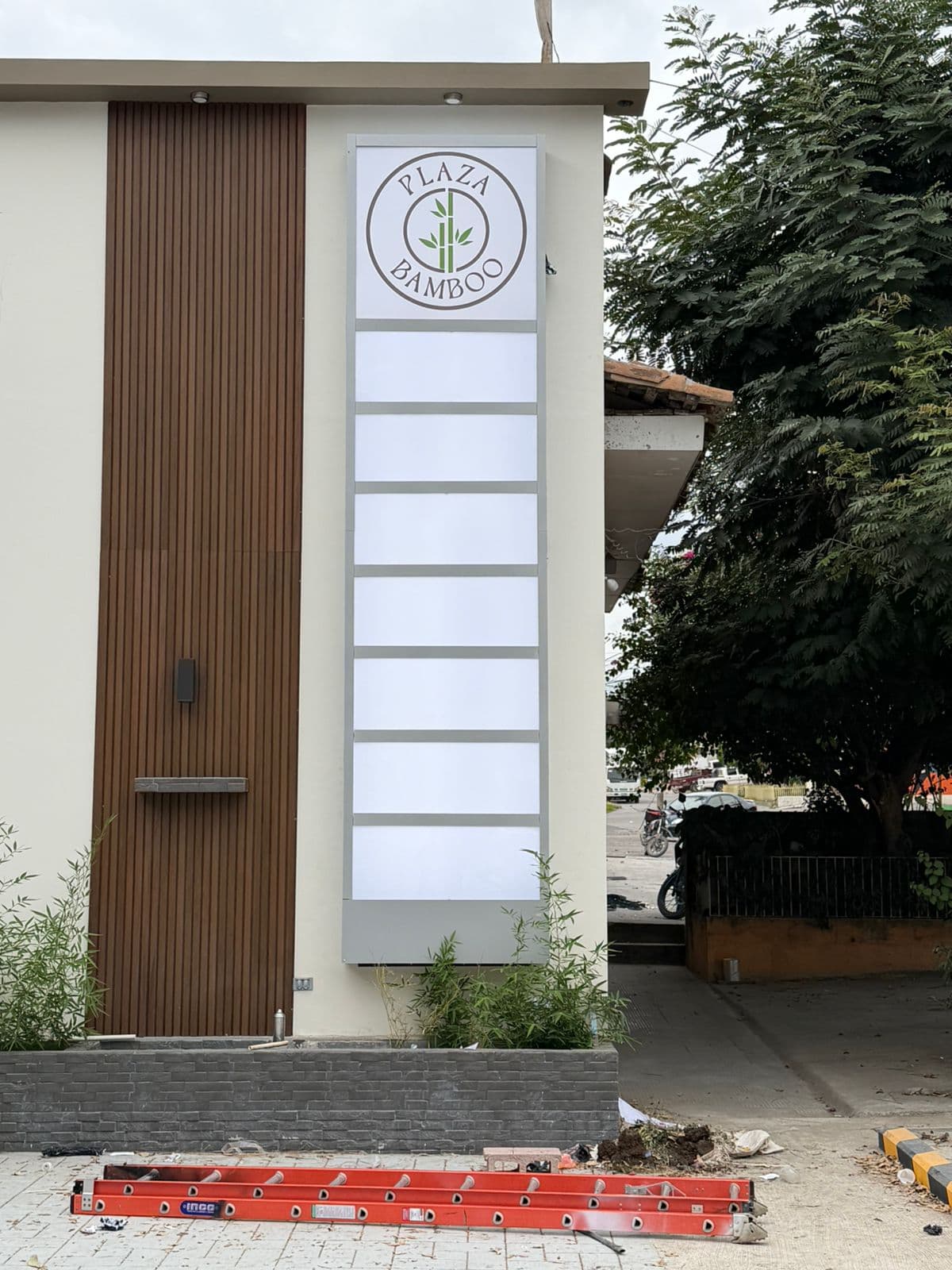 Plaza Bamboo